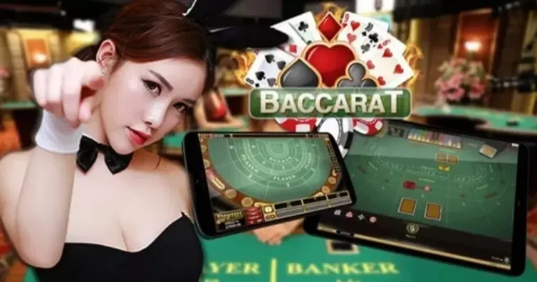하브 카지노 - 업계 최고 카지노사-第2张图片-